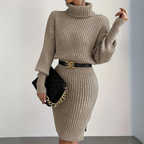 Elysian Embrace Turtleneck Dress